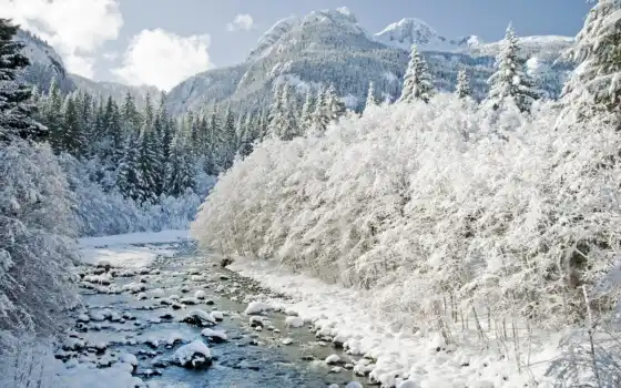 лес, горные, река, зима, деревья,