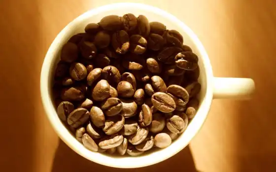 кофе, кофе, белый, биг, чашка, бесплатно, плод, на тюрморт, доска