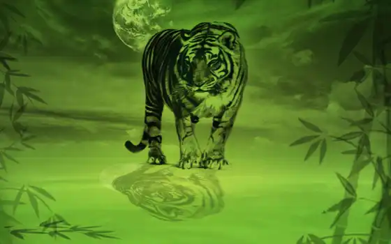 тигр, биг, кот, зеленый, бамбук, природа, отражение, краска, цветной