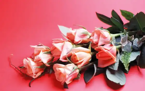 обои на рабочий стол, красивые картинки, картинки для ipad, обои для android