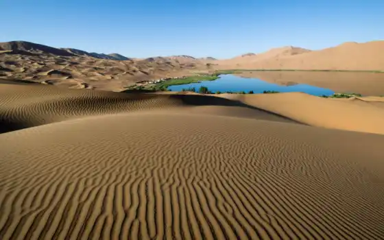 пустыня, песок, оазис, национальный, дюн, парк, жизнь человека, разрешение, народ