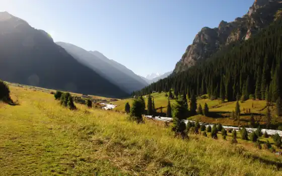 природа, киргизия, горы, река, лес, 