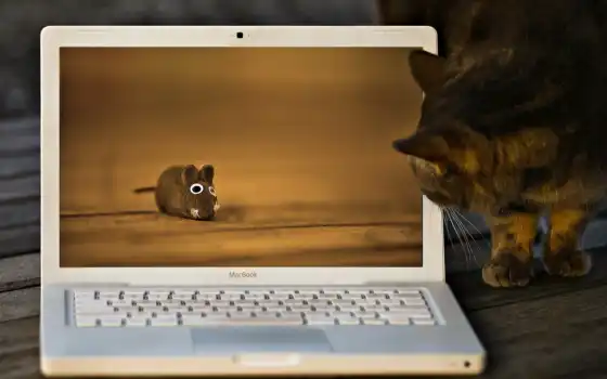 macbook, мышь