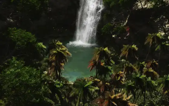 водопад, джунгли,