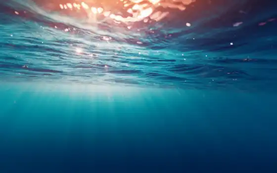 вода, луч, солнце, под, море, гладь, океан, свет, глубина, растения