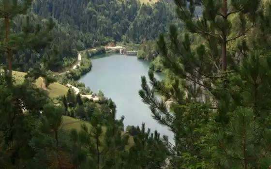 озеро, лесу, красивых, горном, озере, обоев, краси
