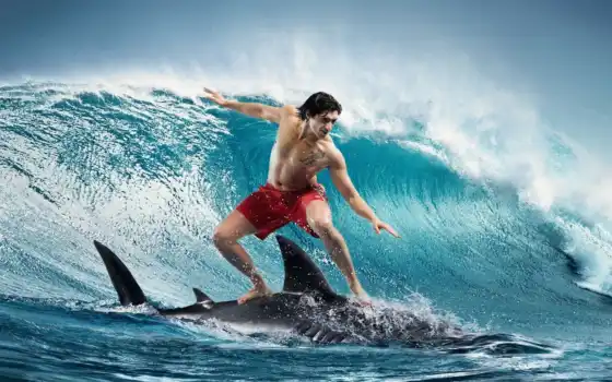 серфинг, парень, акуле, волна, 