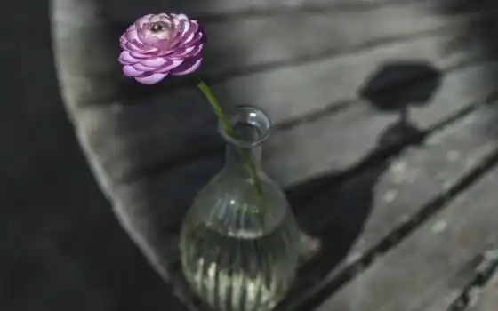 цветы, сделать, ваза, buttercup, peakpxbuttercup