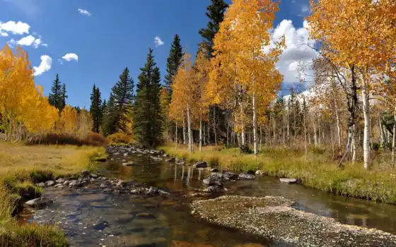 осень, река, деревья, пейзаж, лес, прочитанная, короче, смесь, скацин,