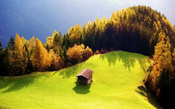 лодка, лес, дом, осень, поляна, смежный, солнце, сопка, дом, лес, лес,