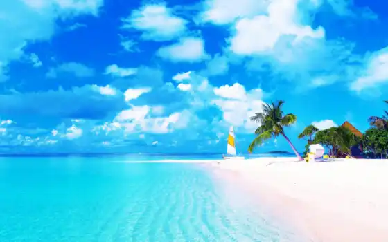 islands, соломоновы, пляж, lonesome, palm, beaches, купить, картинка, 