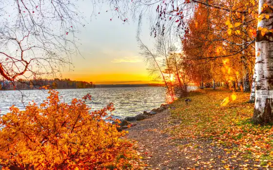 природа, осень, озеро, листья, пейзаж, деревья, закат, эти, 