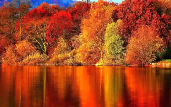 осень, лес, красный, настольный, полиграфический, бесплатный, фон,