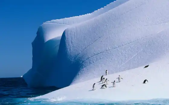 antarktis, landschaft, schnee