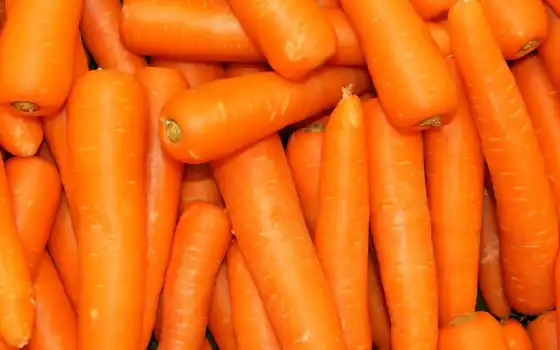 морковь, оранжевый, растительный