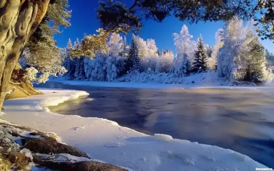 priroda, красивый, zima, снег, отличный, voda, большой, les, зимний
