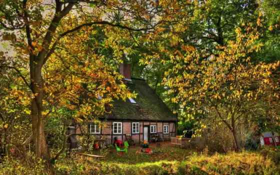 осень, камин, house, trees, листва, дерево, скамейка, thatch, площадь