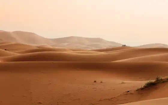 пустыня, коллекция, фото, песок