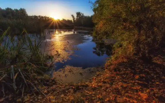 осень, река, над, теплые, уютные
