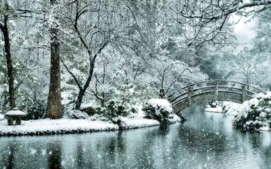 сад, зелень, снегопад, мост, сезон, палуба, зима, японки