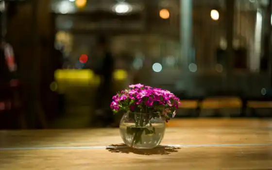 цветы, ваза, картинка