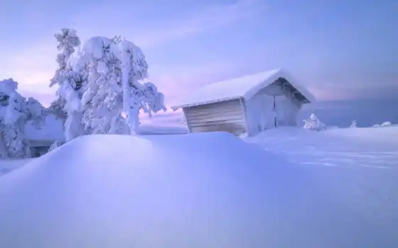 изба, зима, снег, дерево, пейзаж