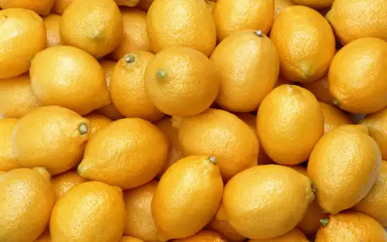 лимон, плод, эда, цитрус, апельсиновый, растительный, мандарин, клементин