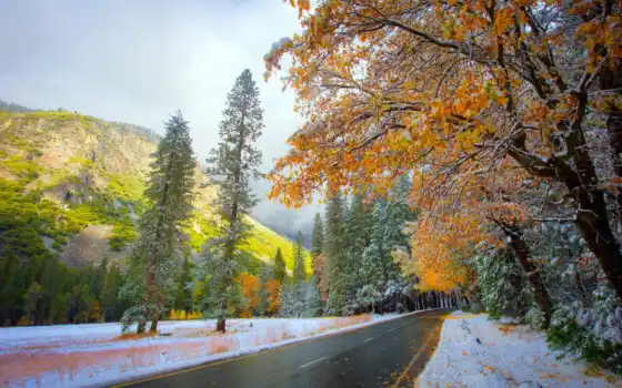 осень, дорога, природа, горы, лес, снег, пейзаж, картинка, 