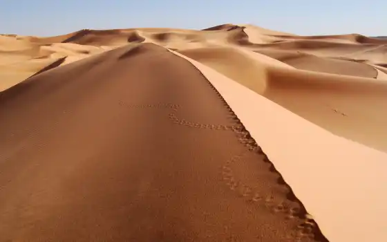пустыня, песок, свинец, песок, песок, песок, бег, бег, труп,