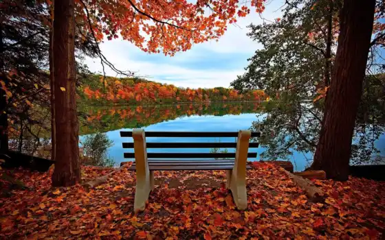 осень, скамейка, деревья, ли род, река, заповедь, дика,