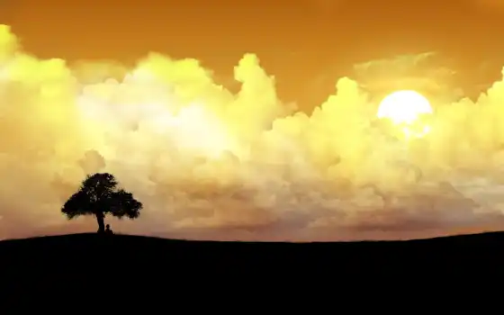 облако, одинокий, дерево, sun, sit, закат, под, human, девушка, золотистый