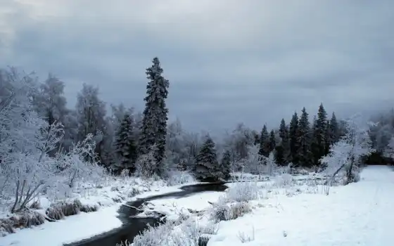 зима, предка, разум, река, дерев, девка