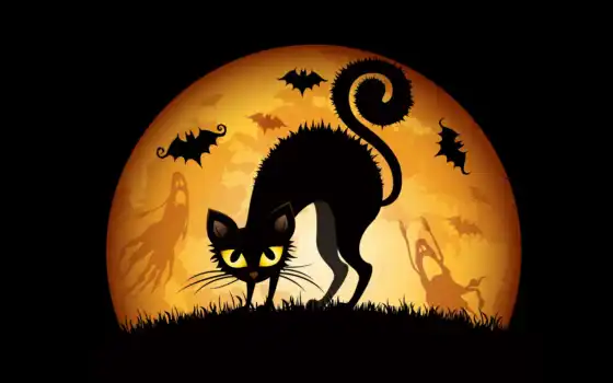хэллоуин, хелковый, чешские, котенок, ххальпинина, черное, черное, животное