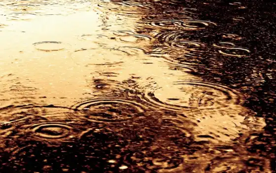 дождь, drop, water