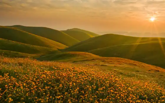 обои на рабочий стол, красивые картинки, картинки для ipad, обои для android