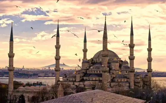 istanbul, turkey, город, mosque, султанахмет, 