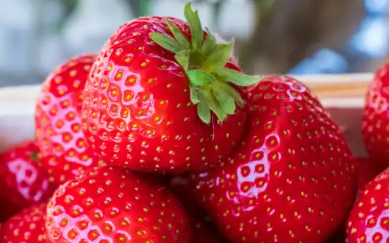 групповой, плодотворный, спелый, фото, ягода, свежий, который, возраст, pixabay