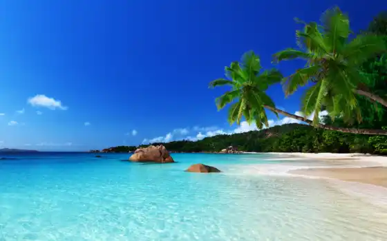 самые, красивые, пляж, мира, мире, побережье, пляжи, красивый, 