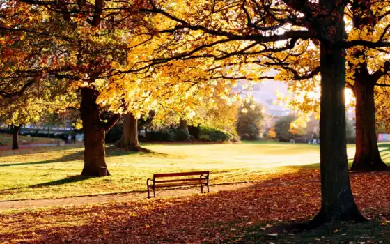 осень, скамейка, парк, природа, листья, деревья, 