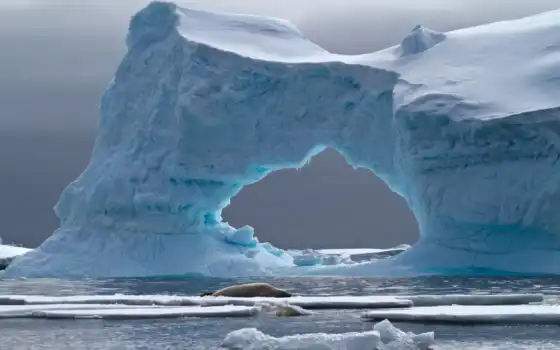 , ледник, айсберг, полярные льды, лед, морской лед, северный Ледовитый океан, арктический, ледяная шапка, 