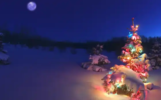 , елки, снег, новогодний, небо, луна 