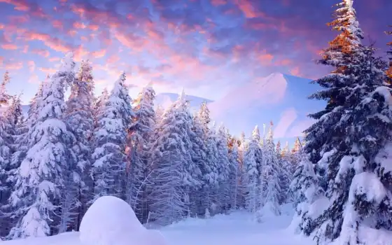зима, снег, страна чудес, дерево, передний план, гора, пейзаж, фон, восход, редкость, галерея