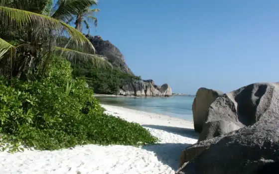 пляж, тропический, море, песок, камни, 