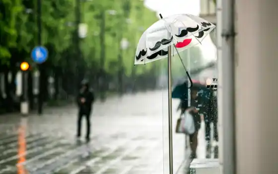 дождь, улица, зонтик, город