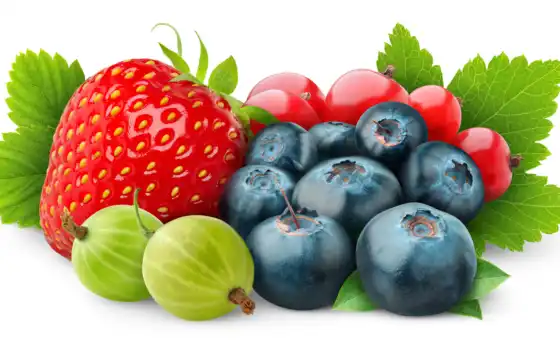 ягоды, белом, fone, фрукты, черника, ягода, 