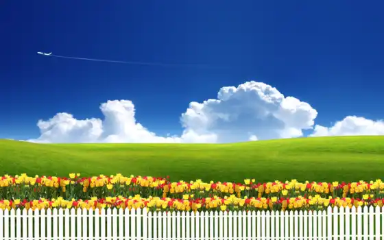 природа, цветы, тюльпаны, трава, забор, небо, луг, 