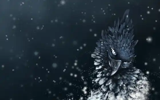 снег, ворона, птица