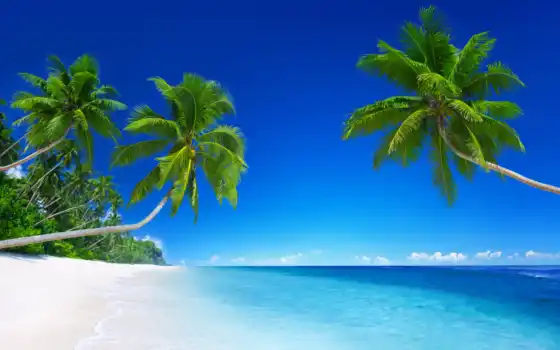 красивых, пляж, top, tropical, indonesia, ultra, tropics, 