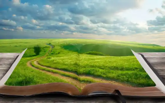 мира, книги, дерево, закладка, пейзаж, трава, музыка, книги, которые, конечно,