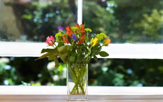 цветы, окно, ваза, взгляд, подоконник, зелёный, 